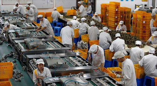 大學生暑期流水線 月入五六千，只為賺出一臺iPad